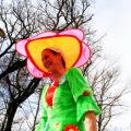 Carnaval Fuveau 2015