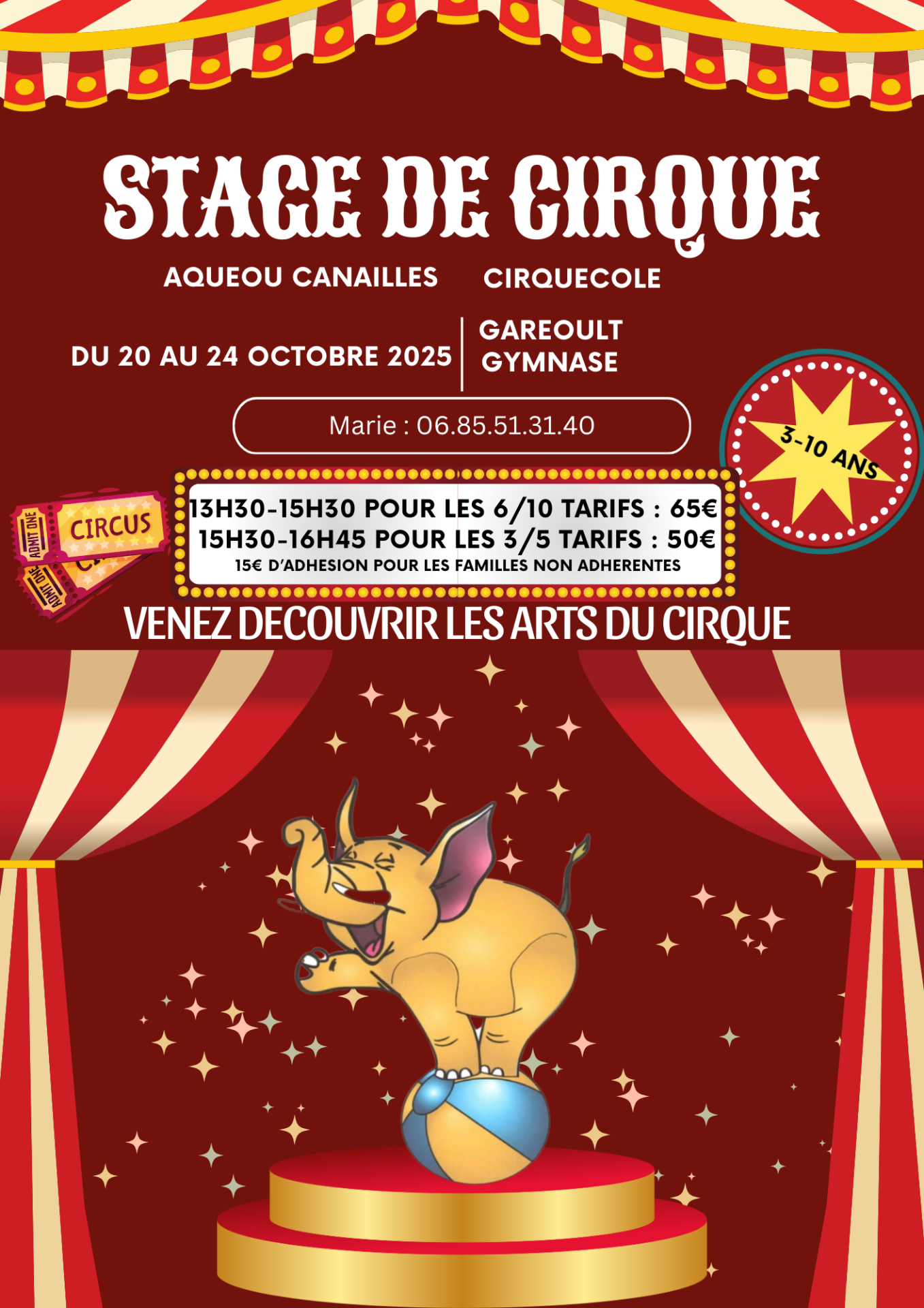 Stage de cirque
